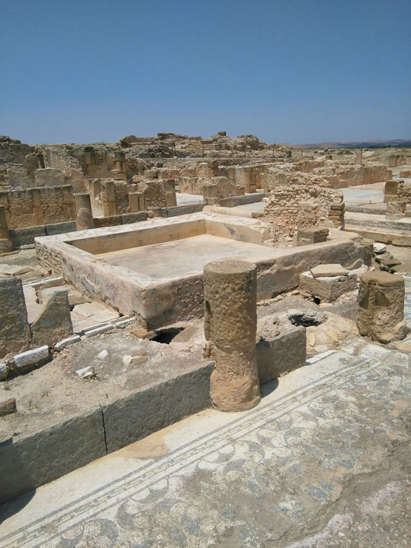 site-archeologique-oudhna-300818-26.jpg