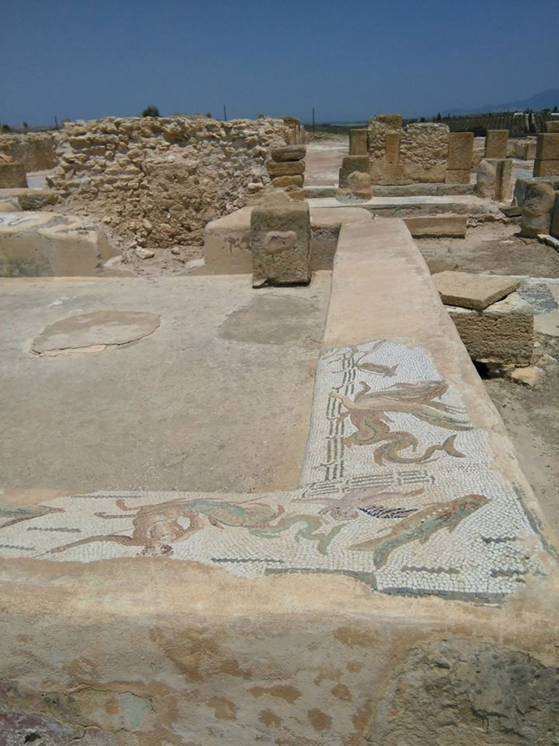 site-archeologique-oudhna-300818-36.jpg
