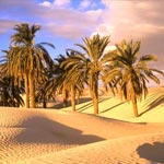 Le Ministère du Tourisme s´engage pour la promotion du tourisme saharien