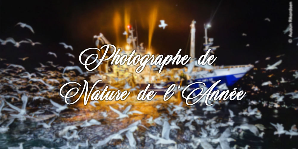  la résidence de l’Ambassadeur Britannique en Tunisie accueille l’exposition 'Photographe de Nature de l’Année.'