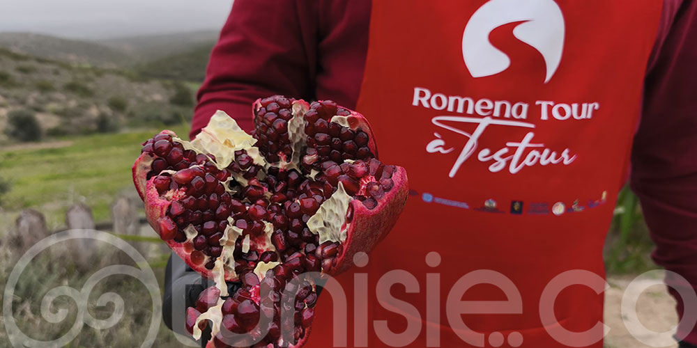 'Romena Tour à Testour' : La grenade au cœur d’une nouvelle offre touristique 
