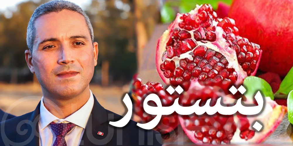 وزير السياحة يواكب فعاليات مهرجان الرمان بتستور