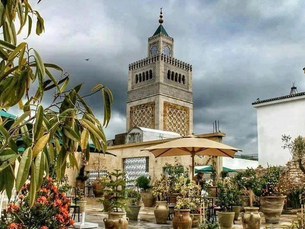 En photos : Découvrez ces terrasses cachées de la Médina de Tunis