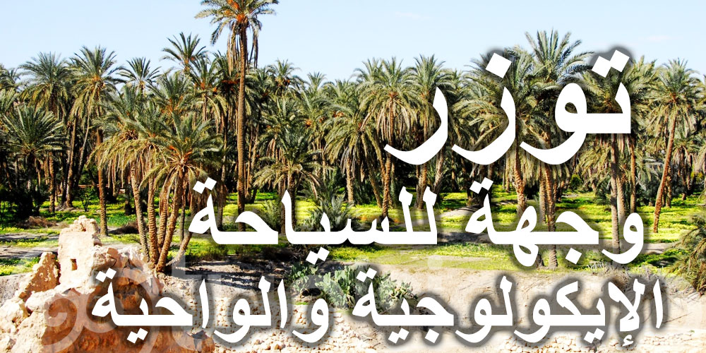 منوال سياحي جديد بتوزر لتصبح وجهة للسياحة الإيكولوجية والواحية بامتياز