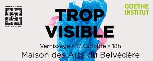 trop-visible-141014-1.jpg