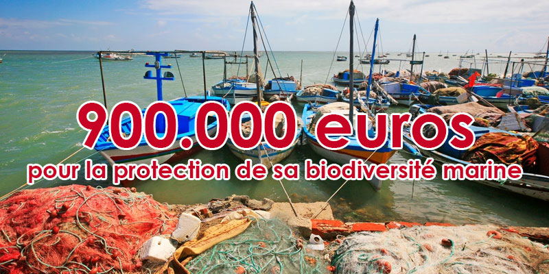 La Tunisie reçoit 900.000 euros pour la protection de sa biodiversité marine