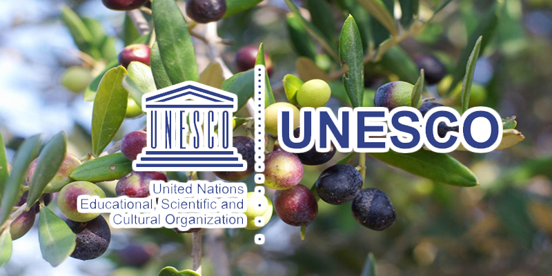  اليونسكو : 26 نوفمبر يوم عالمي لشجرة الزيتون