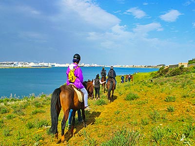 La randonnée équestre: Une nouvelle tendance des aventuriers tunisiens