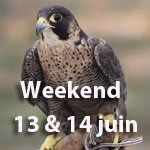 Où sortir ce weekend des 13 et 14 juin 2015 ? Des Bons Plans de sorties by TUNISIE.co