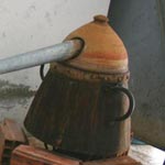 Mois du patrimoine : démonstration des techniques de distillation des eaux florales Ã  Nabeul
