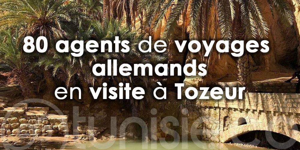 En vidéo :Arrivée des agents de voyages allemands à Tozeur
