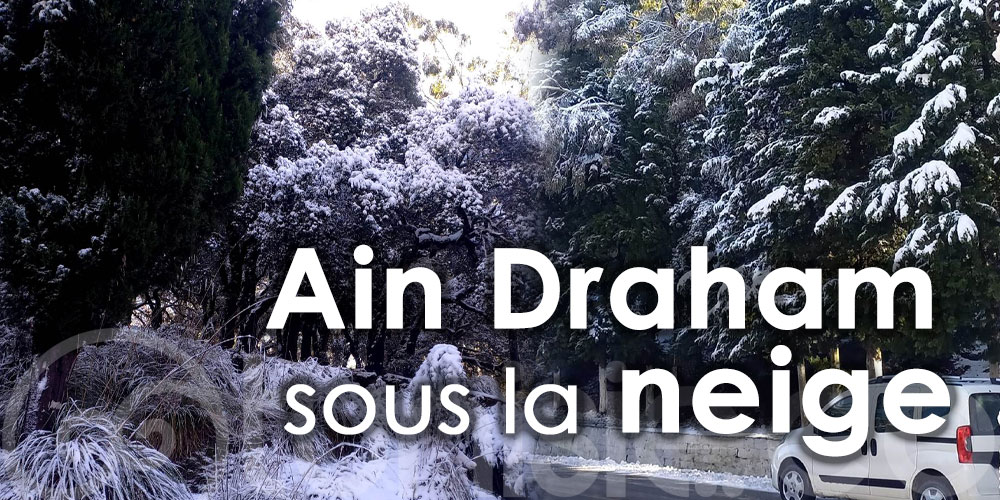 En vidéo : La neige couvre Aïn Draham